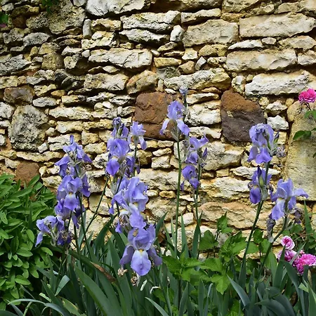 Holiday Home With Private Garden