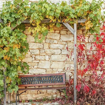 Holiday Home With Private Garden * Cazals (Lot)