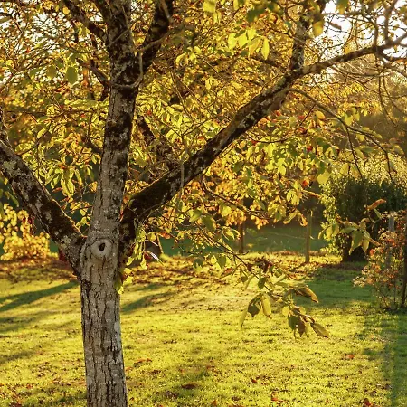 بيت للعطل With Private Garden *