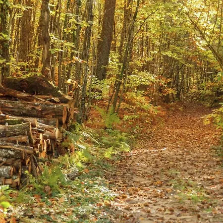 With Private Garden *