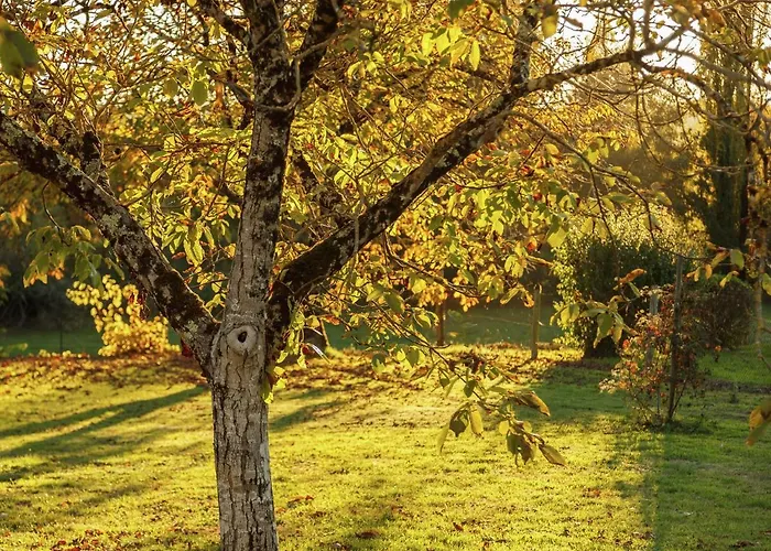 Tatil Evi With Private Garden *