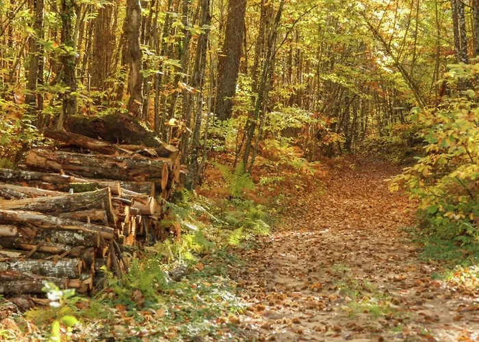 With Private Garden *