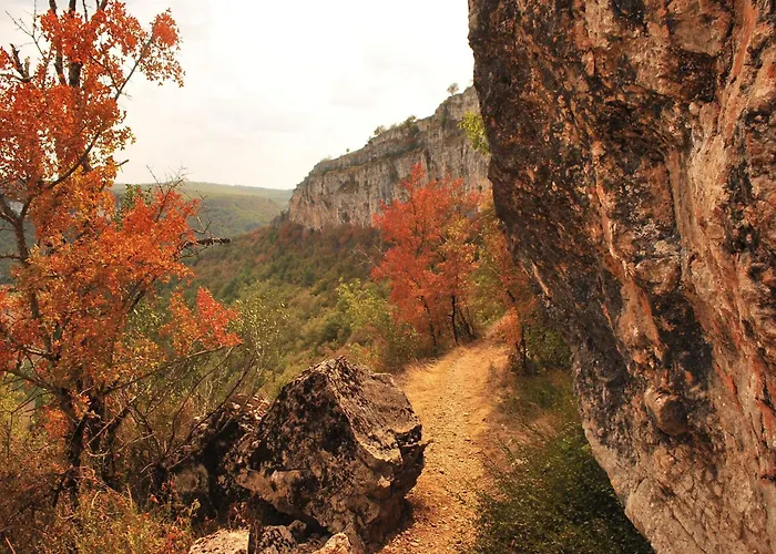 度假居 With Private Garden *